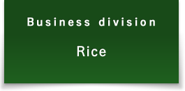 Business Divisions Rice